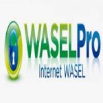 waselpro.com coupons