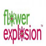flowerexplosion.com coupons