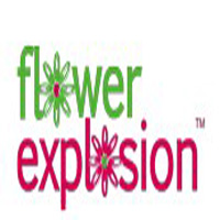 flowerexplosion.com coupons