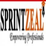 sprintzeal.com coupons